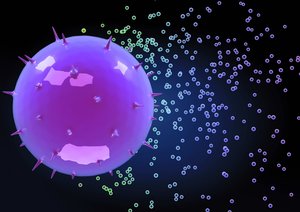 遼陽縣女鞋有限責任公司